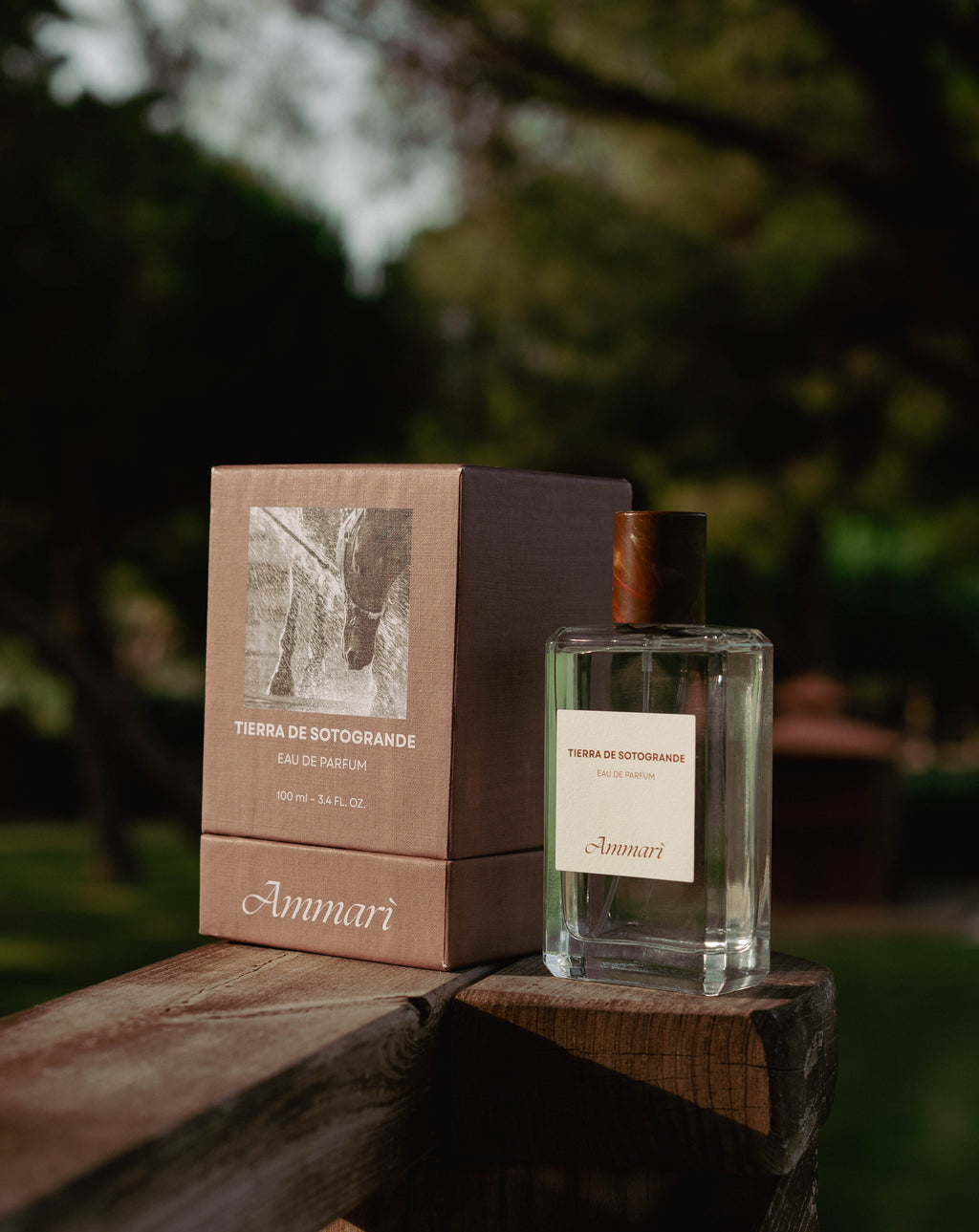 TIERRA DE SOTOGRANDE