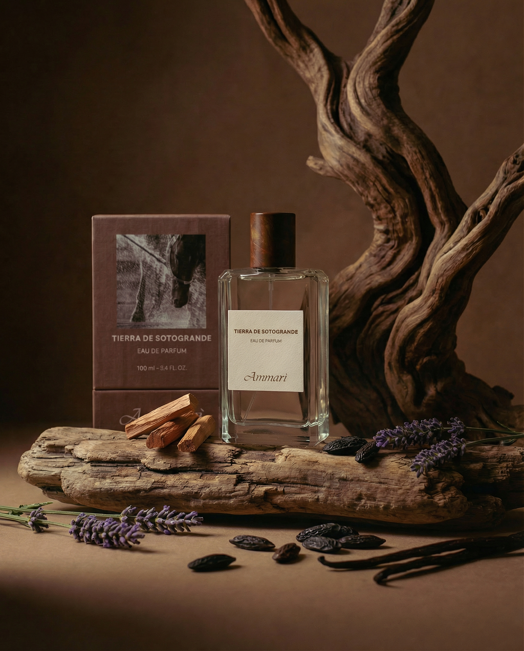 TIERRA DE SOTOGRANDE