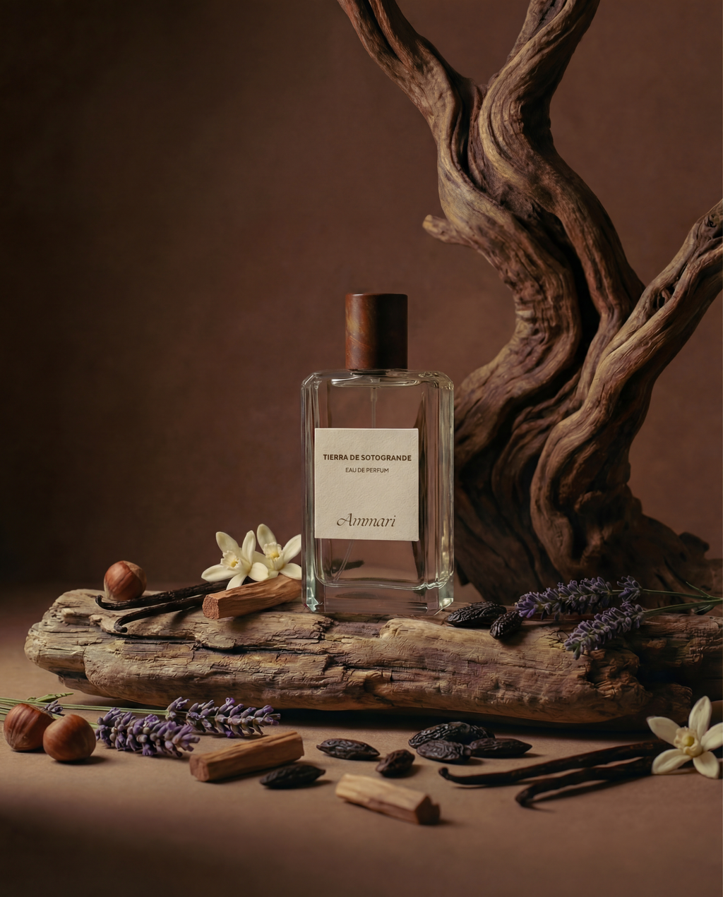 TIERRA DE SOTOGRANDE