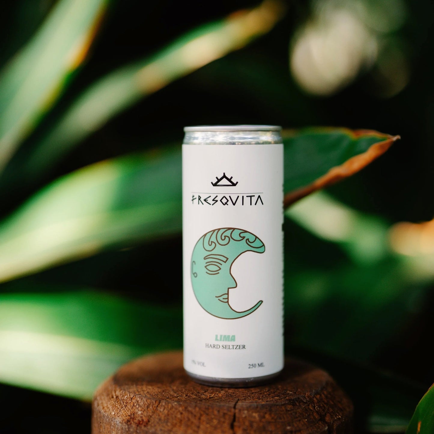 Fresquita Hard Seltzer 250 ml