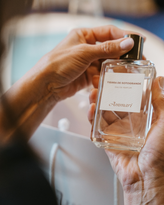 Guía Completa de Notas de Perfume: Cómo Elegir la Fragancia Perfecta para Cada Ocasión