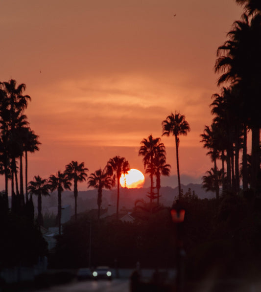 Tierra de Sotogrande