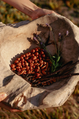 Tierra de Sotogrande